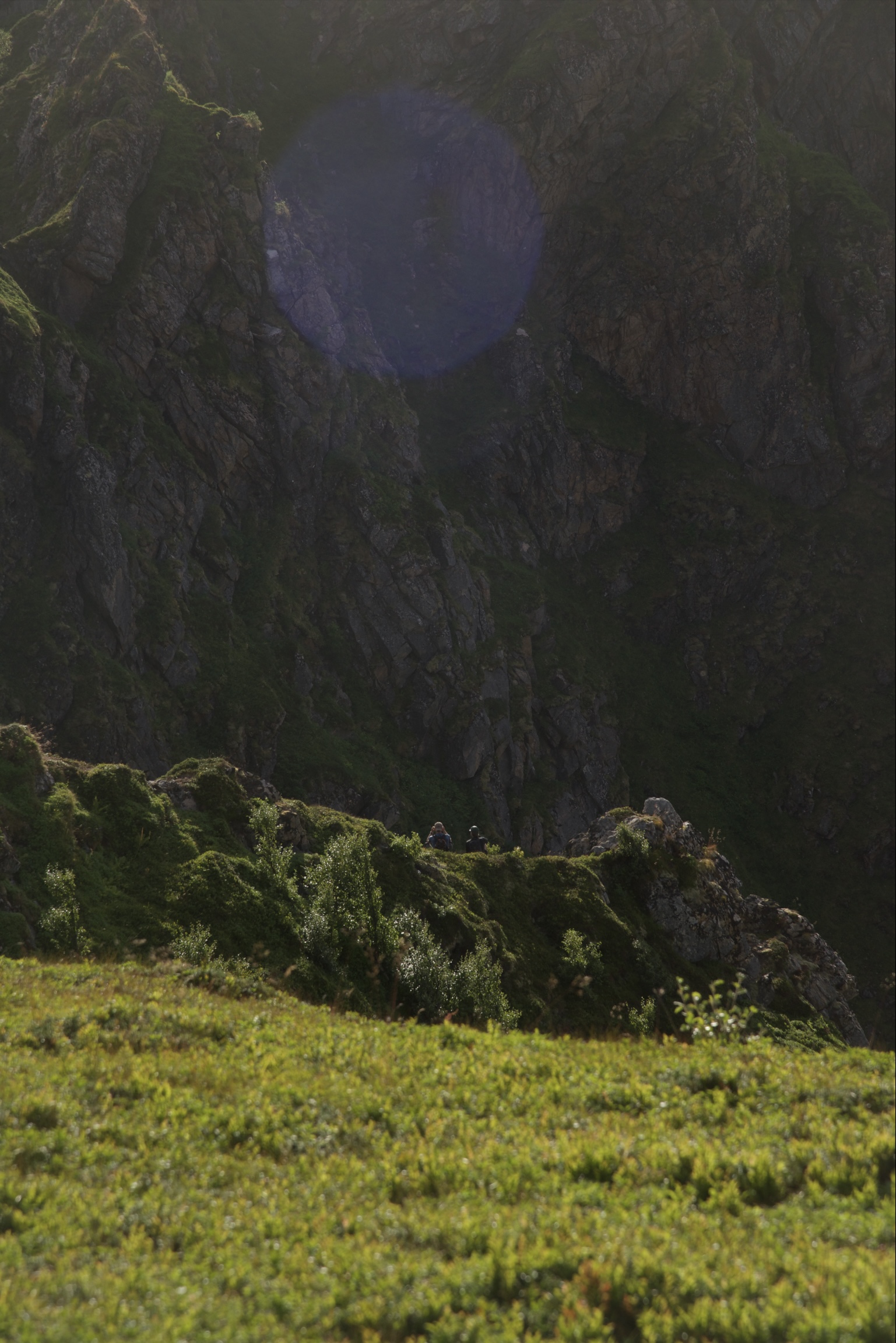 Nordic landscape